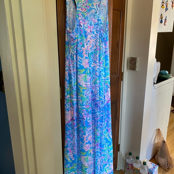Lily Pulitzer treena maxi dress - Picture 2 of 2